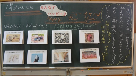 DSC05800.JPG