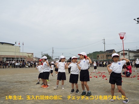 P5240385.jpg