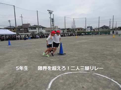 DSC01403.JPG