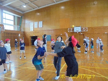 DSC00131.jpg