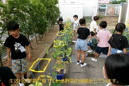 100_0048.jpg