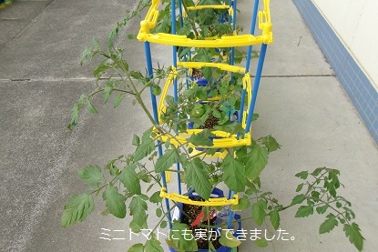 100_0049.jpg