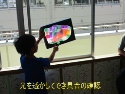 IMG_9575.jpg