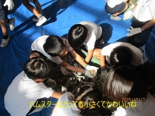 IMG_9760.jpg