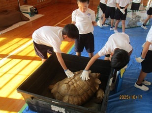 IMG_9767.jpg