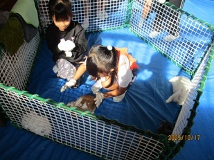 IMG_9794.jpg