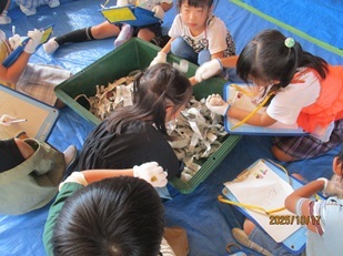 IMG_9798.jpg